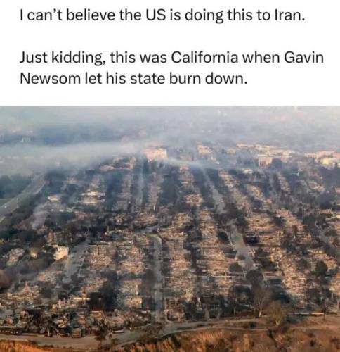 newsom-let-state-burn-down