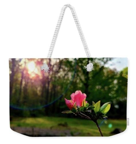 Screenshot_20260330_111612_Brave