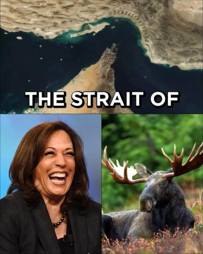 a kamala g