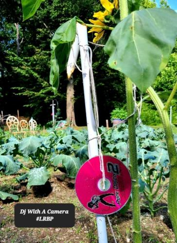 Screenshot_20260319_144850_Gallery