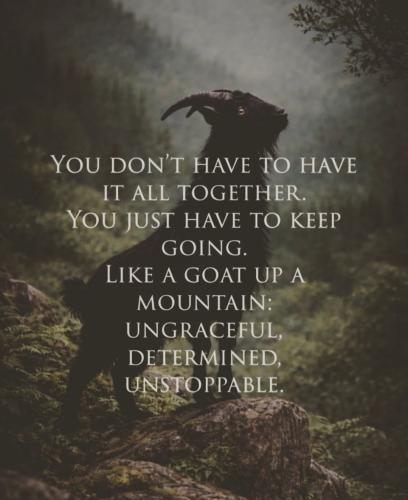 Screenshot_20260309_043708_Instagram