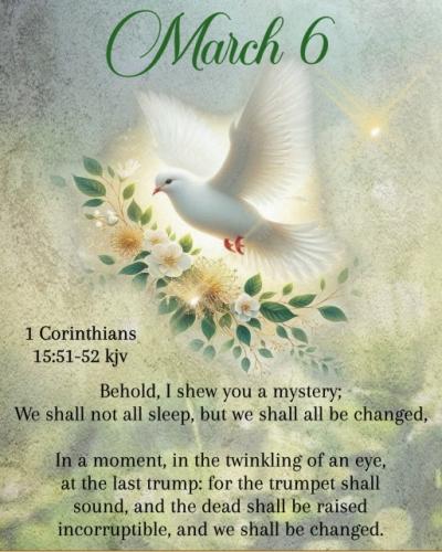 646221602_1230311685982739_4325755958635673693_n