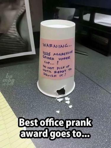 main-qimg-81b3ca7621c4d2a7929f9fb24f0f0040