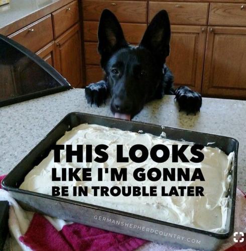 4c66af6772efc9e6b205f8bc7bd4a9ac