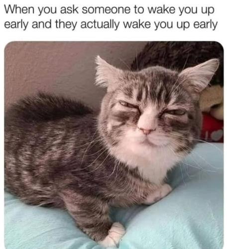 651654519_26081869898171395_7179607184728453707_n