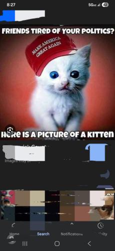 Screenshot_20260311_202739_Google