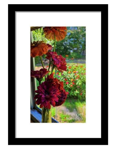 Screenshot_20260321_092502_Brave