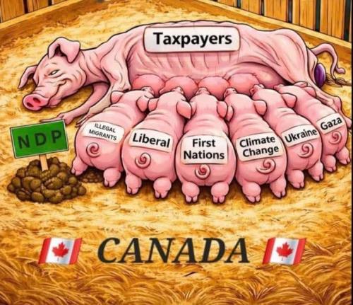 FB_IMG_1773113070374