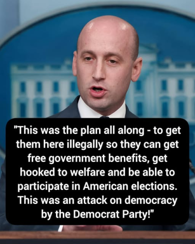 miller on illegals