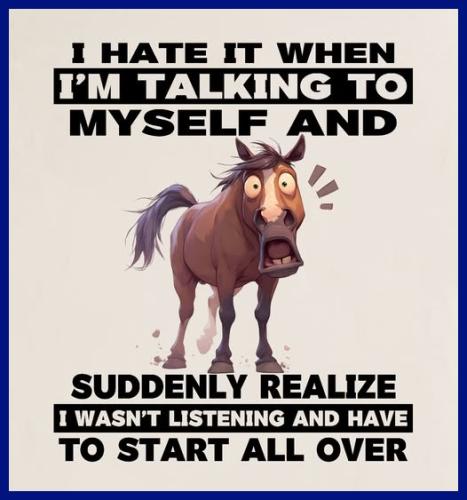 643406106_905786662345027_4879600129119633070_n