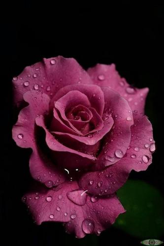 659883801_1698925274760227_8630948599736443070_n