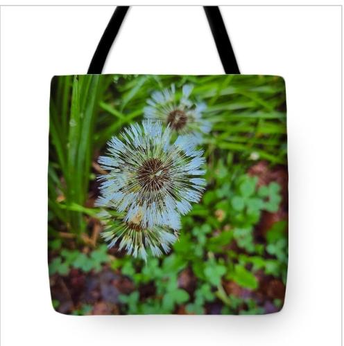 Screenshot_20260306_111034_Brave