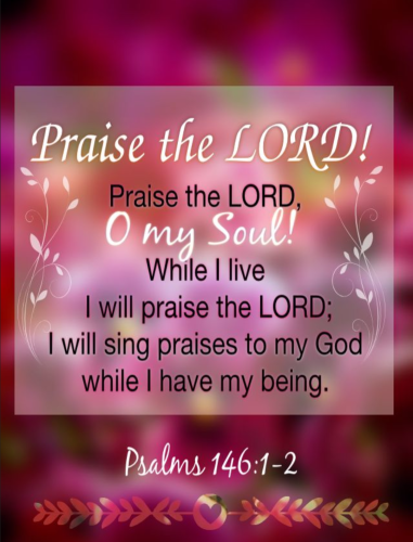 Screenshot_20260321-132253-611