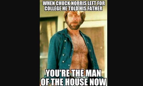 Chuck-Norris-Man-Of-The-House-3158811178