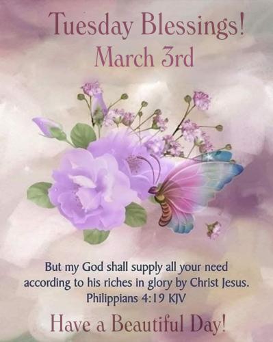 646321135_1351023737058350_2574556514111603830_n