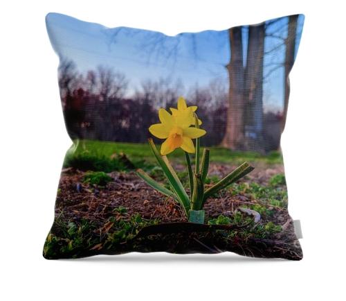 Screenshot_20260310_111333_Brave