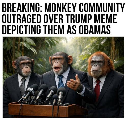 Monkey community.768px