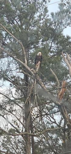 e1a495a2-3619-46e2-b685-a715b2bfaad8