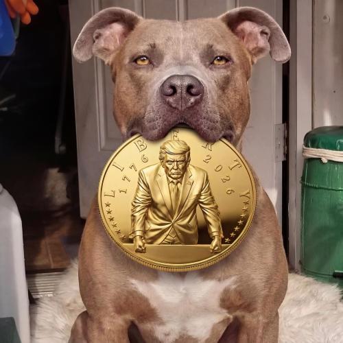 dubs trump gold coin