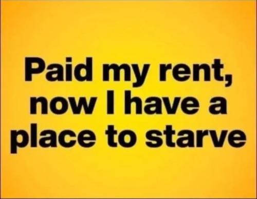 17738273881084349392935071736338_246911388653099