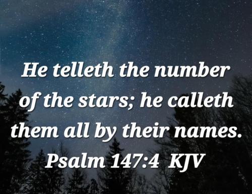 2b3d25ca-4eb0-4eb1-971f-11c80575079c