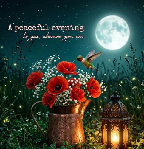 7c29fc8242db87c4b48f80a57f3c2887