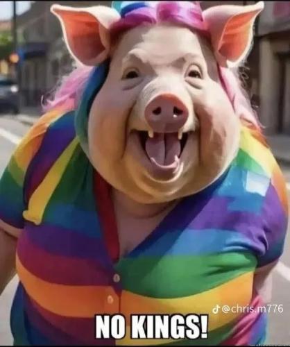 17748651700351715122553446757886_872365644445548