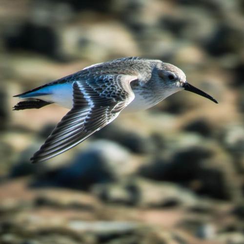 652234448_10237253571311912_1187286768742930371_n