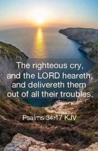 d15f18a2-a1c8-4c0b-903b-fd4551c15f0a