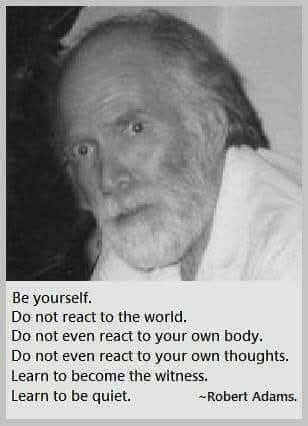 ,                             ,    ,