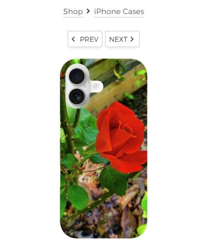 Screenshot_20260321_125007_Brave