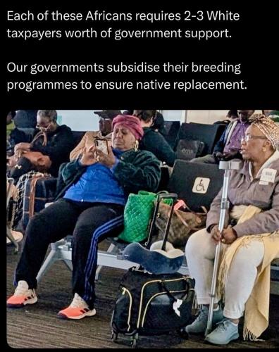 IMG_20260328_144251_458