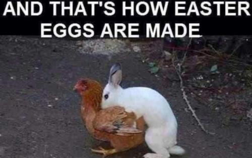 Screenshot_20260318_144552_Gallery