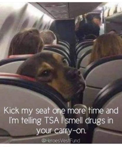 Screenshot_20260314_144143_Gallery