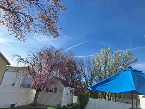 deb11793-4178-4ed3-a7a5-ea03936ab940