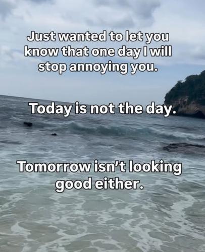 658152118_122304883934223156_3231399365186931627_n