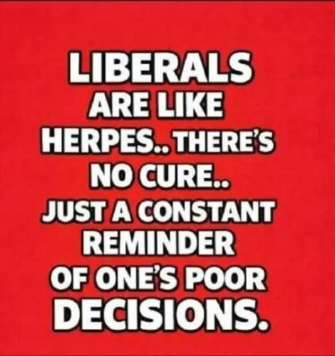 17731372770322923752780961494087_1857004515015561