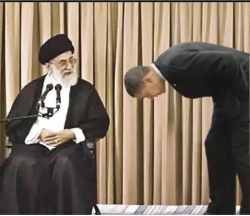 img_rsz__1100x1100 (13)(1)