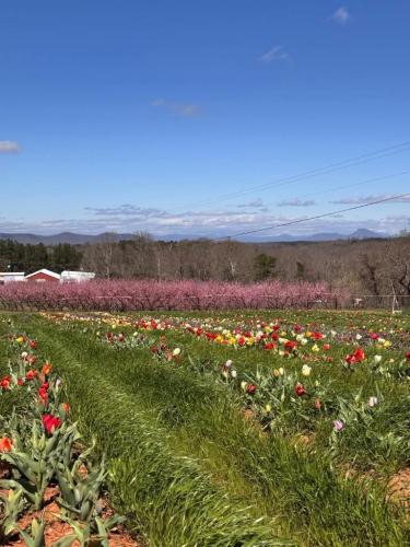 b752258e-f84a-4ee5-8c39-de617334a52d