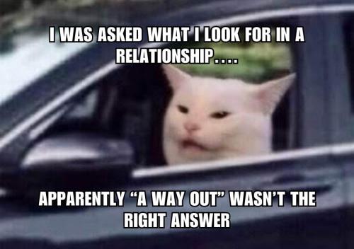 IMG_20260311_150310_467