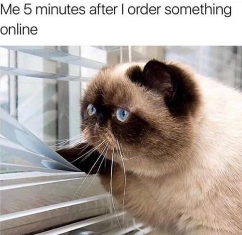 5-minutes-after-order-something-online