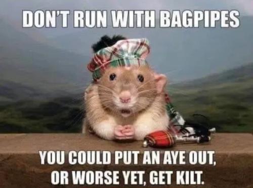 d75331fd3e6cf6e2ea06b7000aad1670