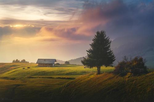 657048341_10162162287350079_3616413705676776093_n