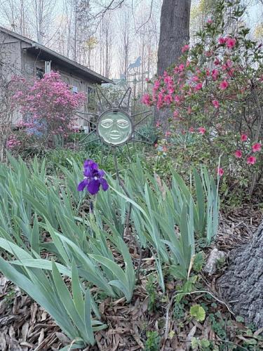 655311288_1840328066656689_5659739692757072802_n