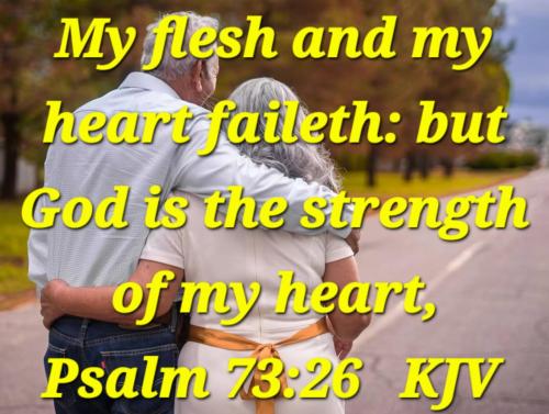 bb3384c5-82d0-44c6-889a-0870589eb61e