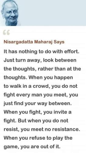 ,                             ,    ,