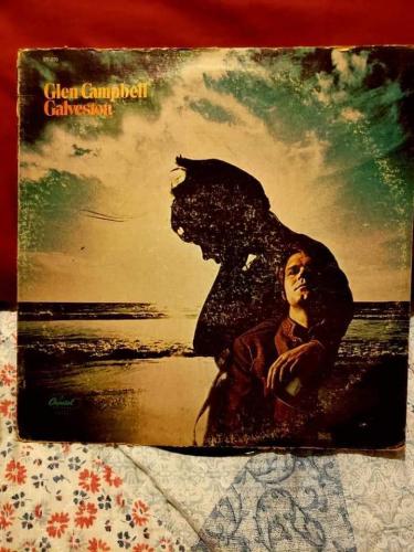 FB_IMG_1677492371747