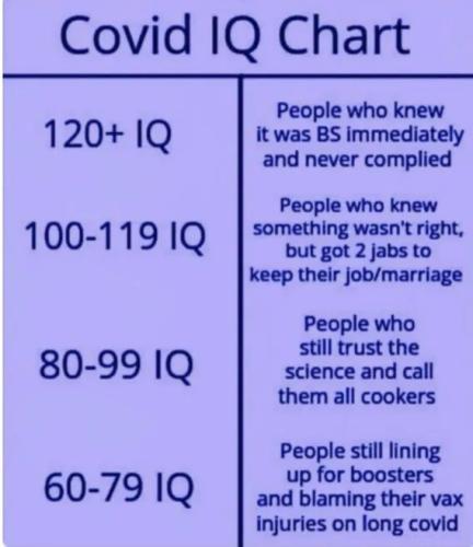 79c36408c57e3a3c5cce5ccb30c3c678