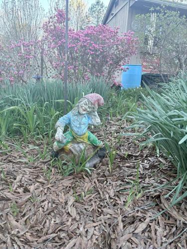 655874663_1689371189093116_207058595486306002_n