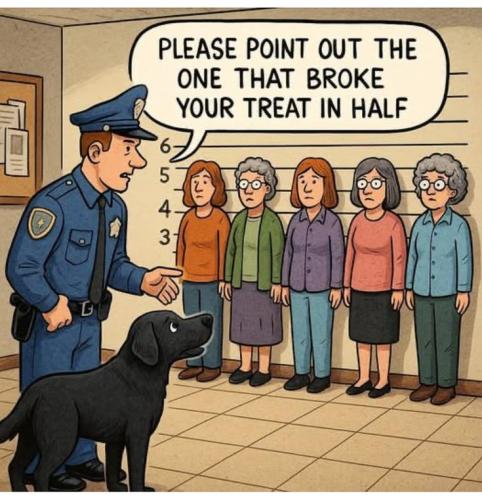 55c9f0c1c455979d10d6b50ecc59e40b